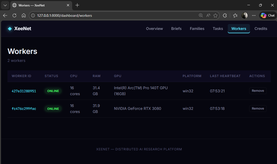 Workers list showing two online workers with hardware profiles
